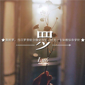 罗姓姓氏的家谱记载和宗祠对联